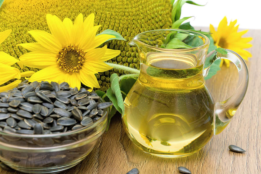 make-your-own-cooking-oil-with-sunflower-seeds-101-ways-to-survive