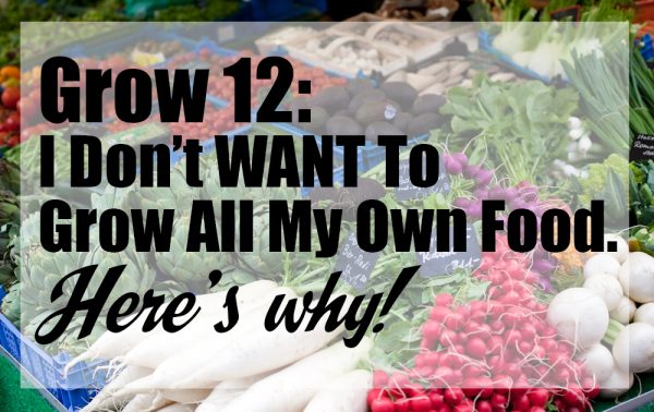 community-food-production