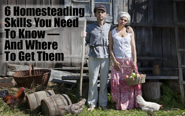 learn-homesteading-skills