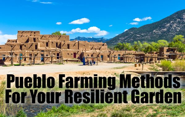 pueblo-farming-methods