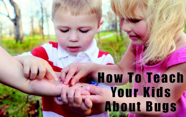 teach-kids-bugs