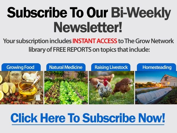 Subscribe to TGN's bi-weekly newsletter