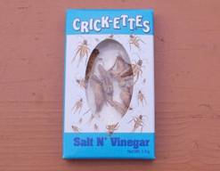 crickets-1