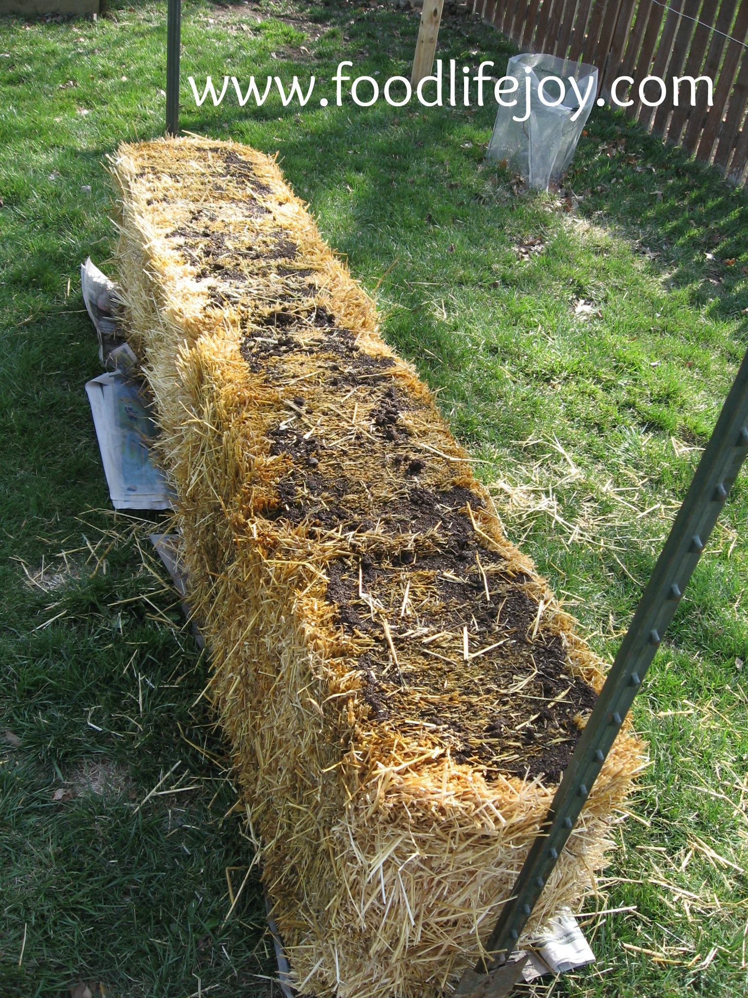 Straw bales an intriguing option for Kansas home gardeners