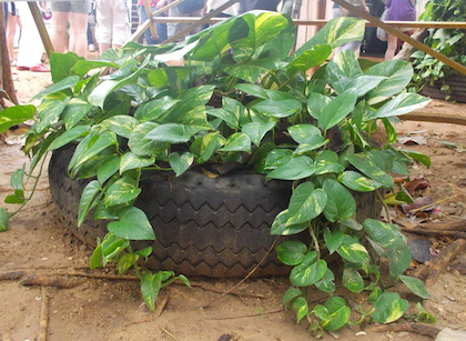 tire planter in cuba small