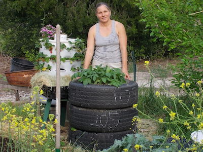 potatoes in tires third tire going on copy