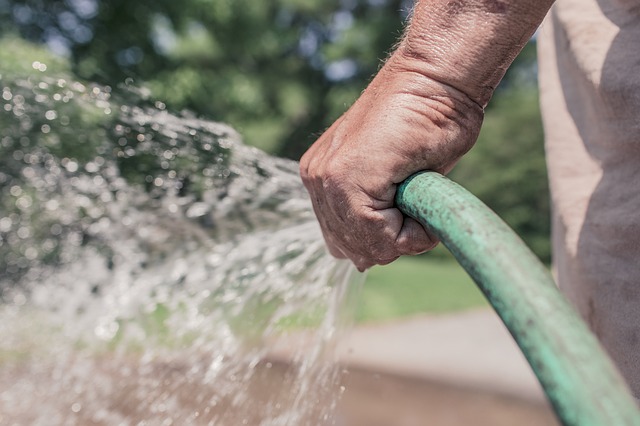 Using Tap Water in Your Garden - Garden Hose