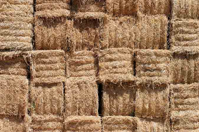 Hay Mulch vs. Straw Mulch