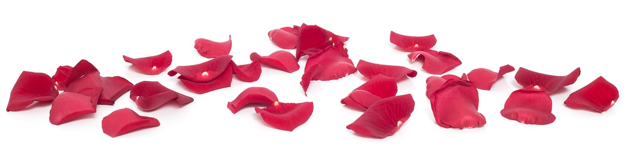 12 Uses for Rose Petals