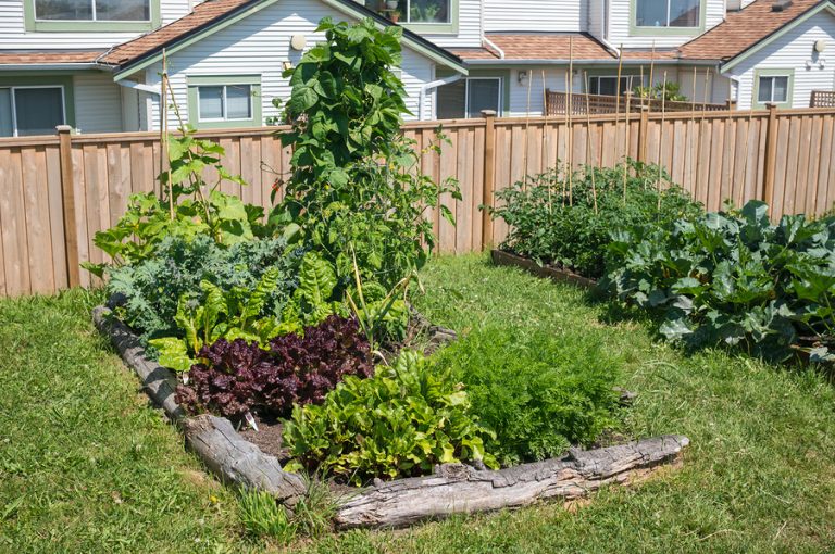 How Much Food Can You Grow on 1/4 Acre? - The Grow Network : The Grow ...