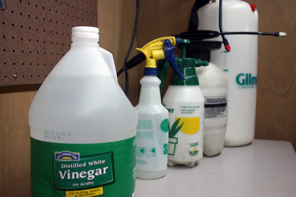 vinegar-weed-killer-and-pump-sprayers