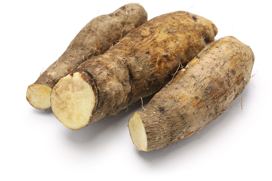 chinese-yam-plants-how-do-you-grow-yams