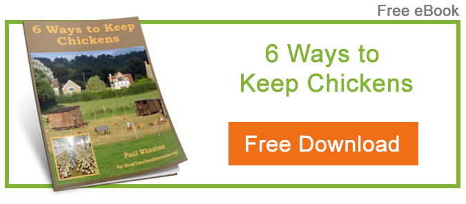 paul-wheaton-6-ways-to-keep-chickens