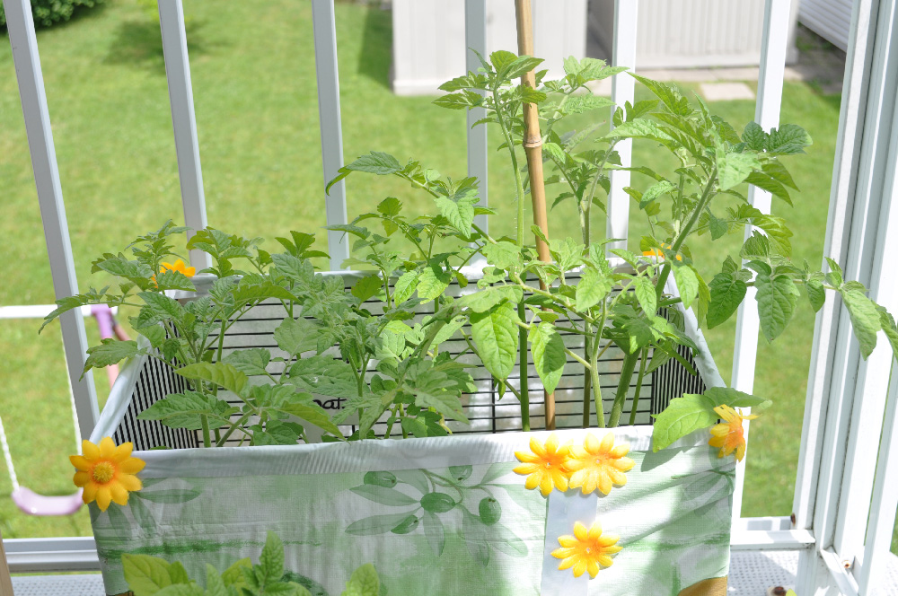 creative planters with rodent cages