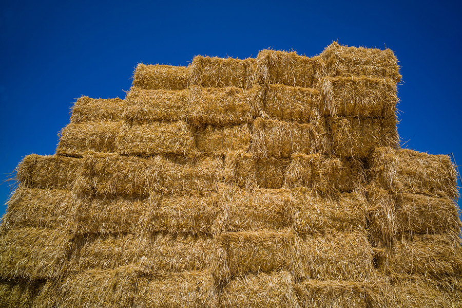 Fresh straw hay bales background Stock Photo