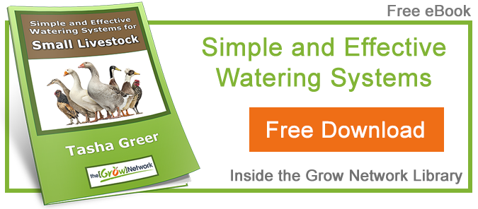 Simple and Effective Watering Systems for Small Livestock