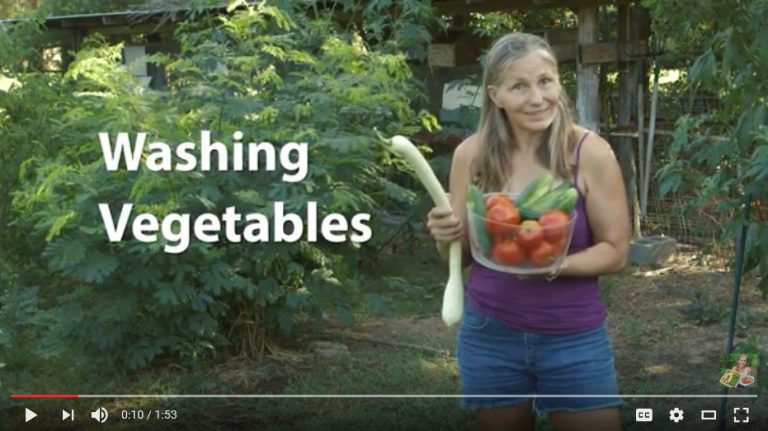 Homesteading Basics - Wash Your Vegetables in the Shower