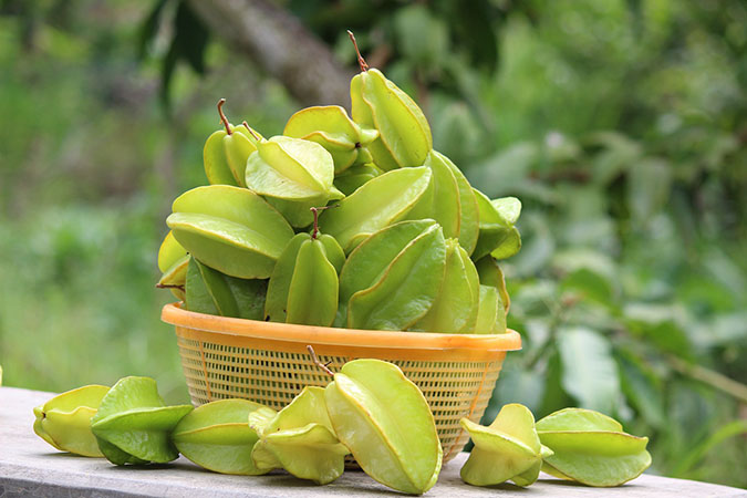 What does star fruit taste like? Pick some and find out! (The Grow Network)