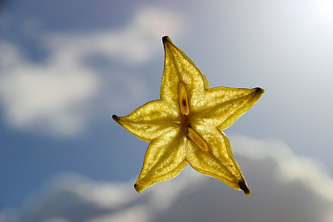 Star fruit packs a powerful phytonutrient punch. (The Grow Network)