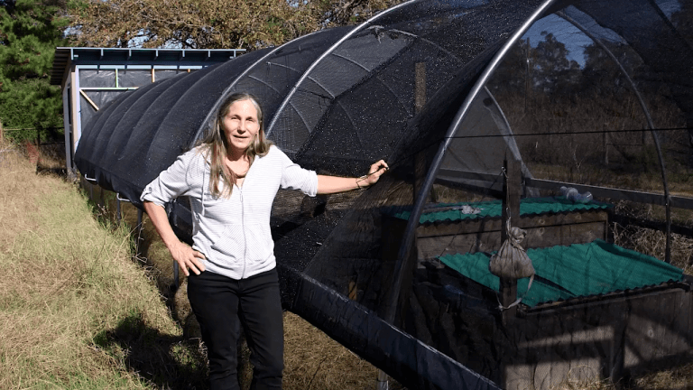 hoop house plans as a greenhouse alternative