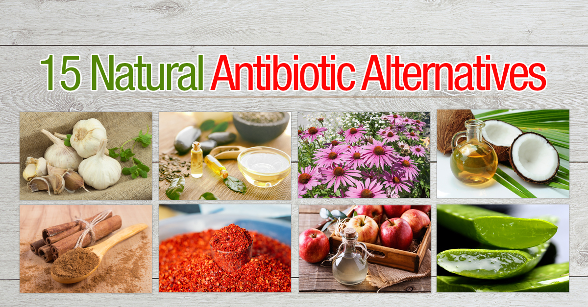15 Natural Antibiotic Alternatives