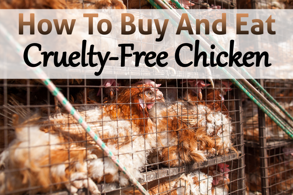 How to Buy and Eat CrueltyFree Chicken The Grow Network The Grow Network