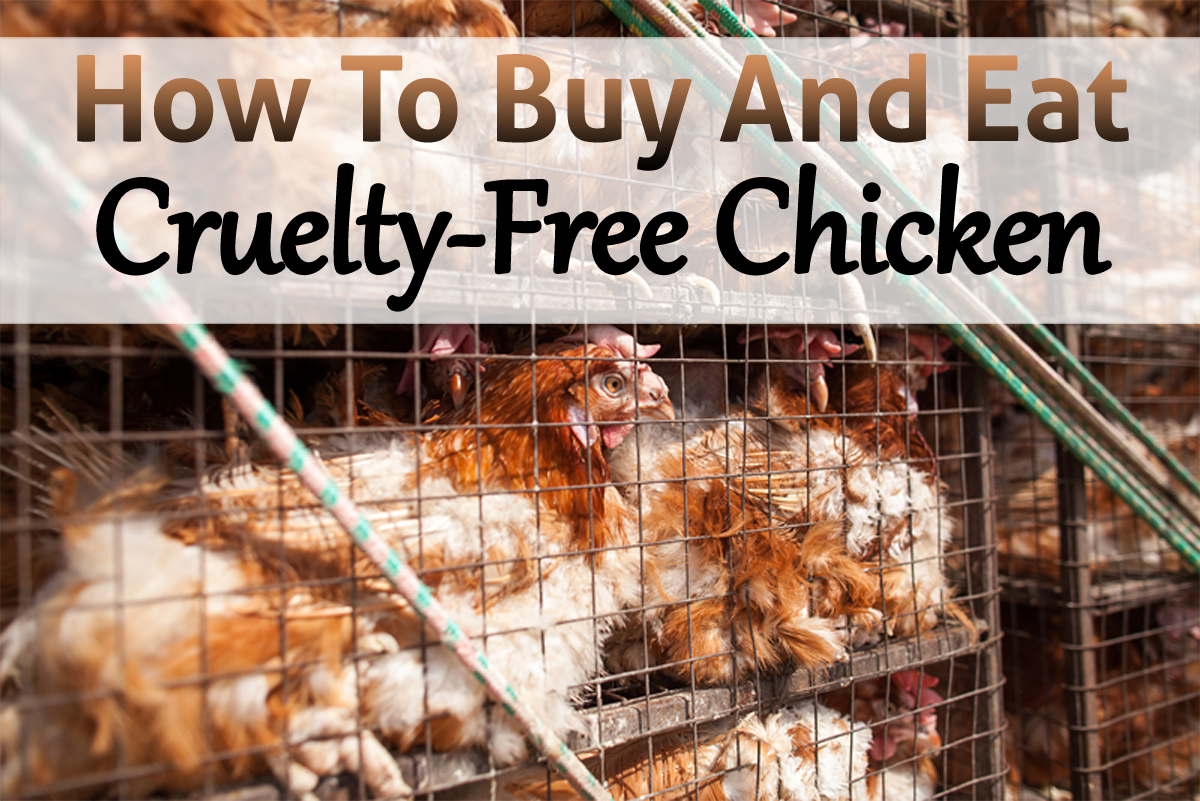 How To Buy And Eat Cruelty Free Organic Chicken