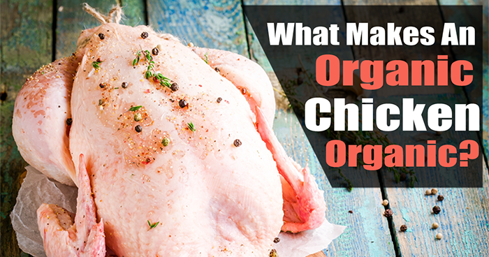 What Makes An Organic Chicken Organic
