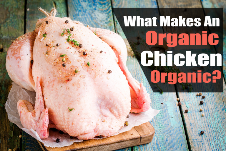 What Makes An Organic Chicken Organic? The Grow Network The Grow
