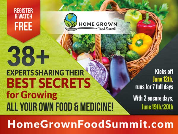 Home Grown Food Summit 2017