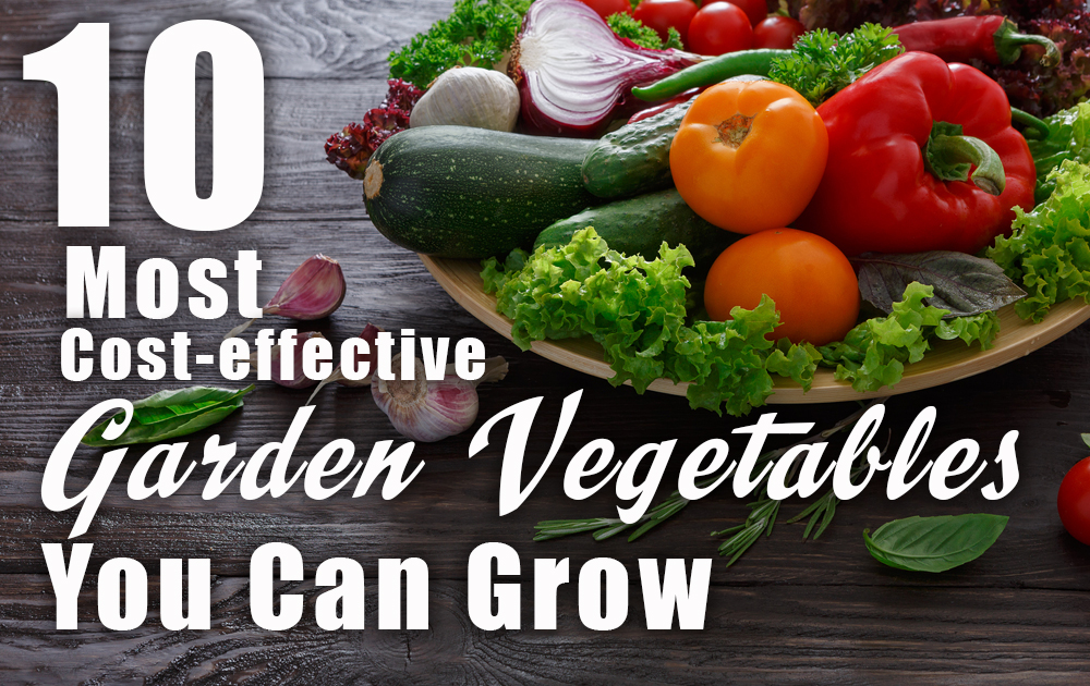 garden-vegetables