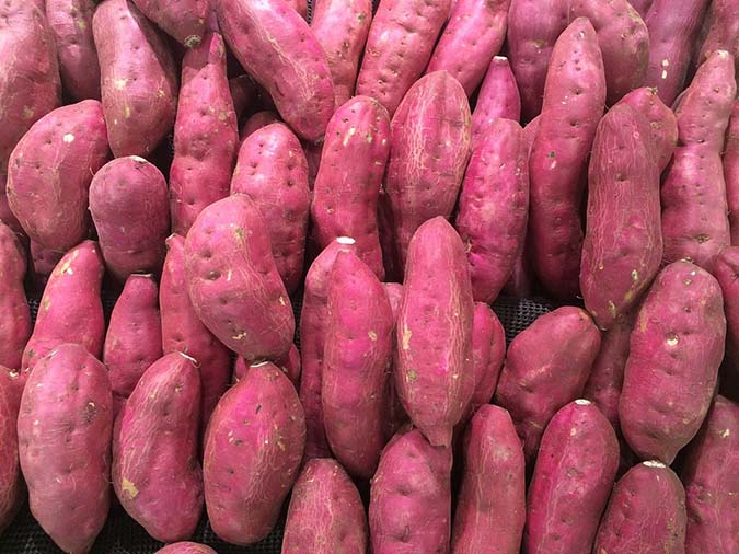 Growing sweet potatoes successfully starts with proper garden prep. (The Grow Network)