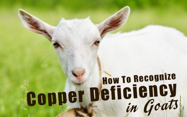 copper-deficiency