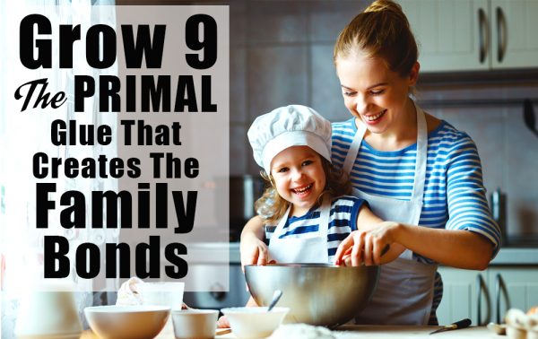 family-bonds