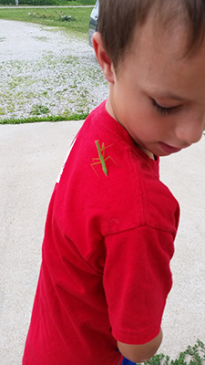 kids-gardening-mantis