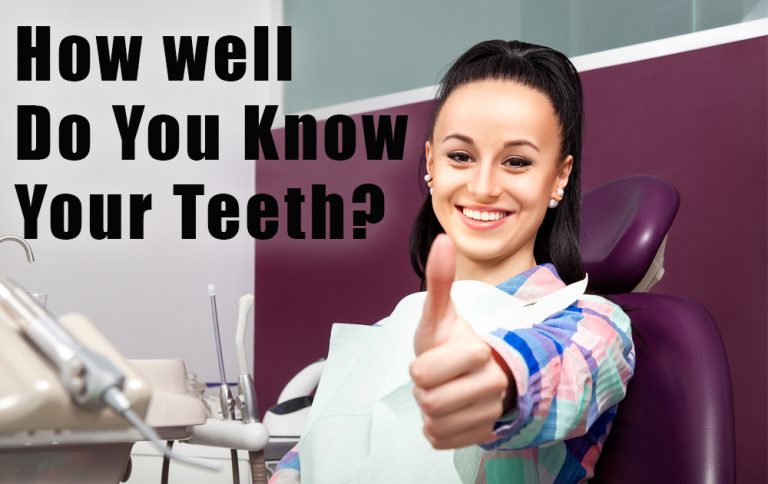 How Well Do You Know Your Teeth? - The Grow Network : The Grow Network