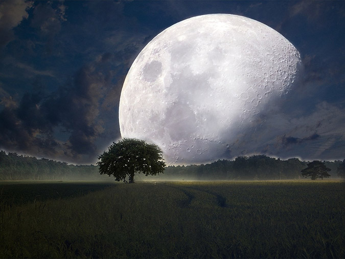 Planting by the Moon: 7 Tips for Success (The Grow Network)