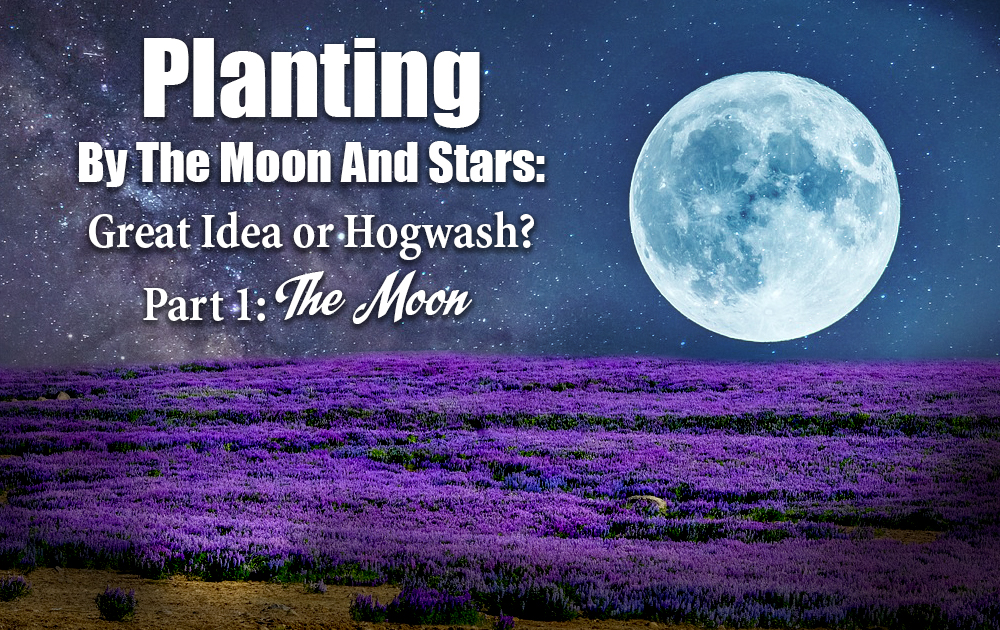 planting-by-the-moon
