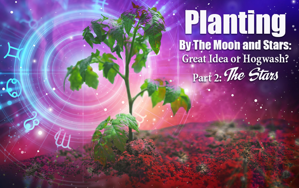 planting-by-the-stars