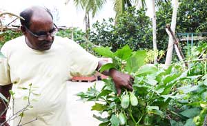 Sustainable farming changemaker - Maheswar Khillar