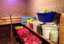 Fruits and Veggies in Root Cellar
