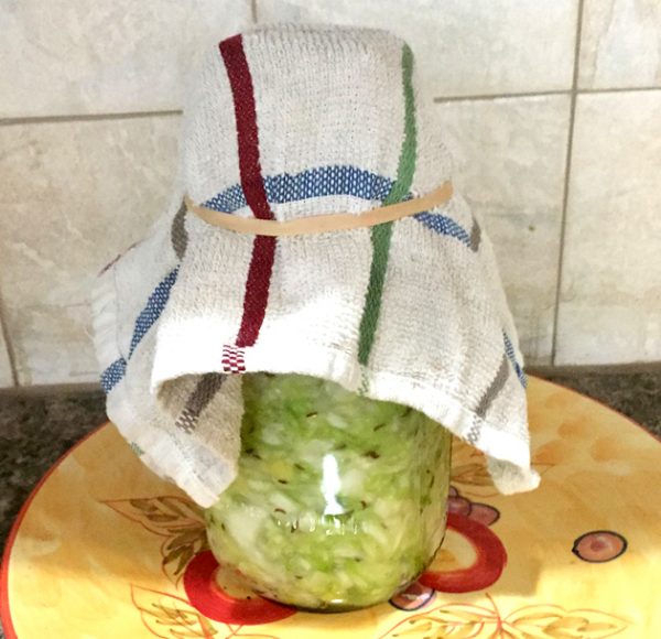 Cover a jar of fermenting cabbage with a kitchen towel for a few days to allow for pressure changes. (The Grow Network)