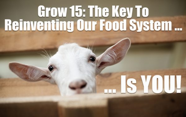 food-system