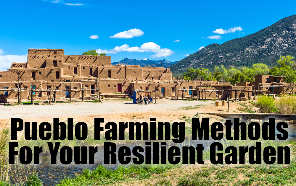 pueblo-farming-methods