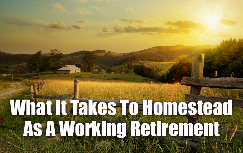working-retirement