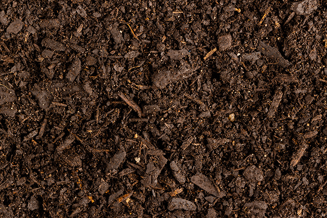 How to improve Garden Soil Cheaply and Easily | The Grow Network