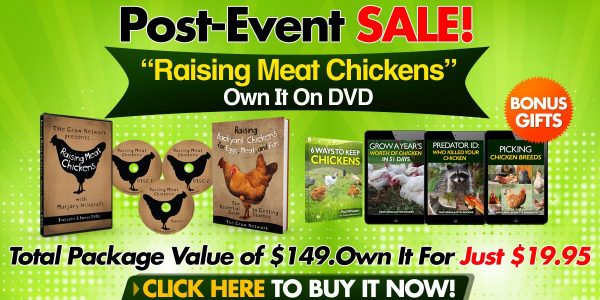 Raising Meat Chickens