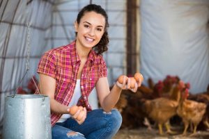 Backyard Chickens for Egg Production Certification