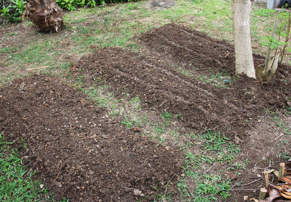 Double-Dug Garden Beds