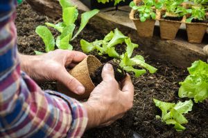 Instant Master Gardener Certification